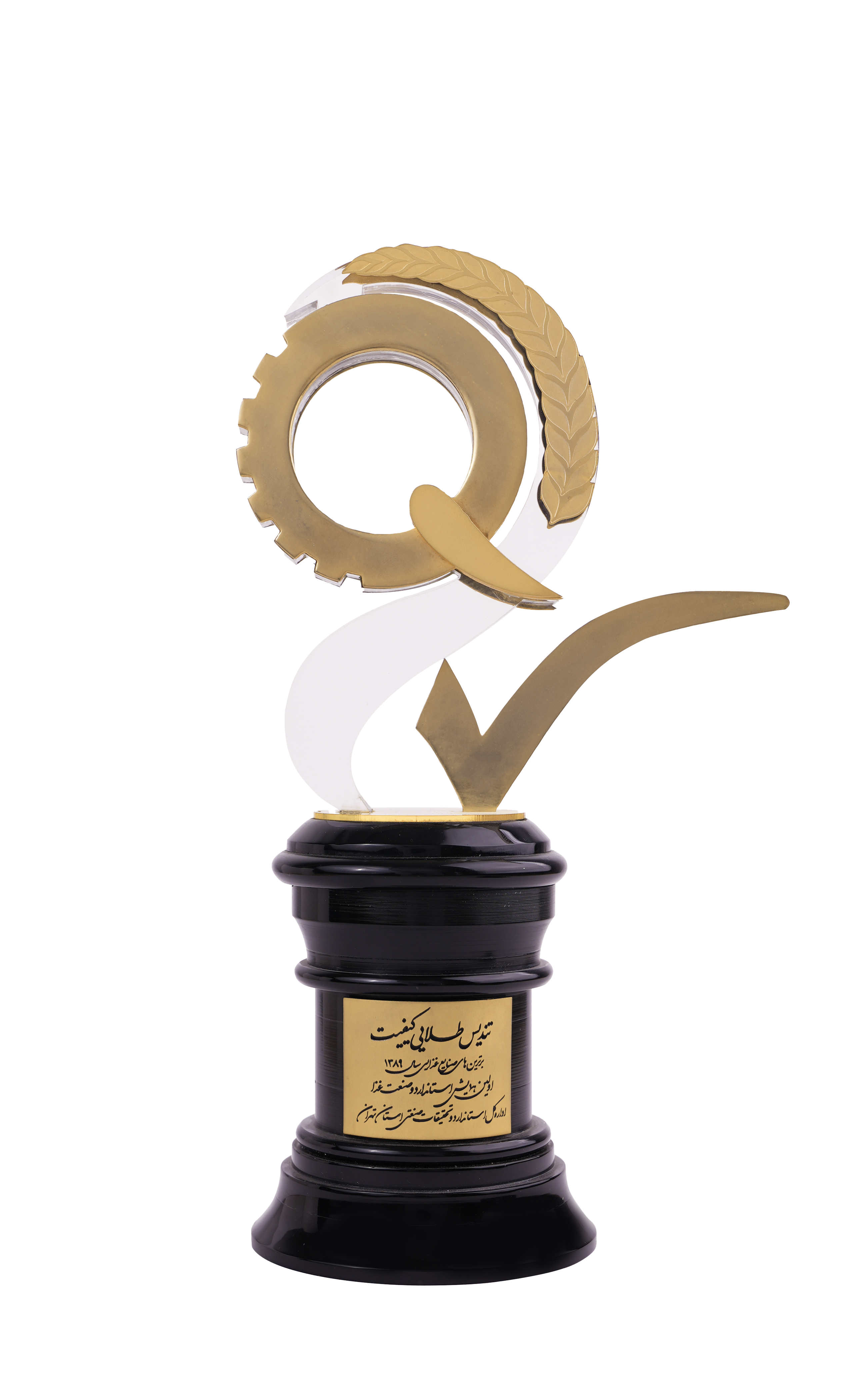 جایزه نوآوری تخصصی